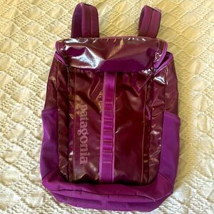 Patagonia 25L Black Hole Backpack burgundy